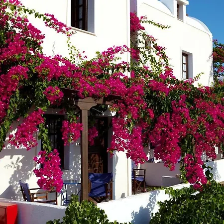 παραδοσιακά άννα 2*